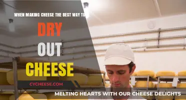 The Best Techniques to Dry Out Cheese