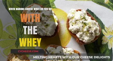 Creative Ways to Use Leftover Whey from Cheesemaking at Home