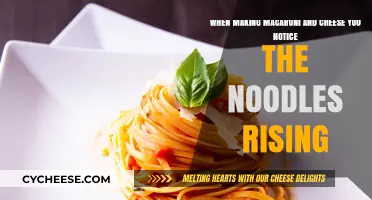 Macaroni Mystery: Floating Noodles in Cheesy Sauce