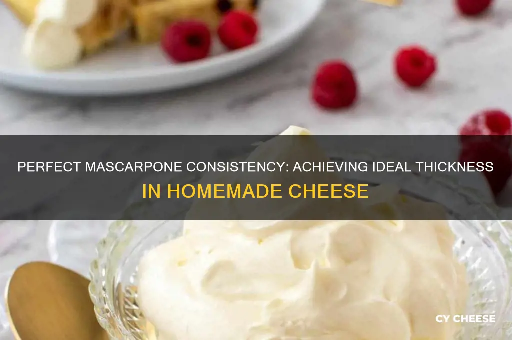 when making marscapone cheese how thick should it be