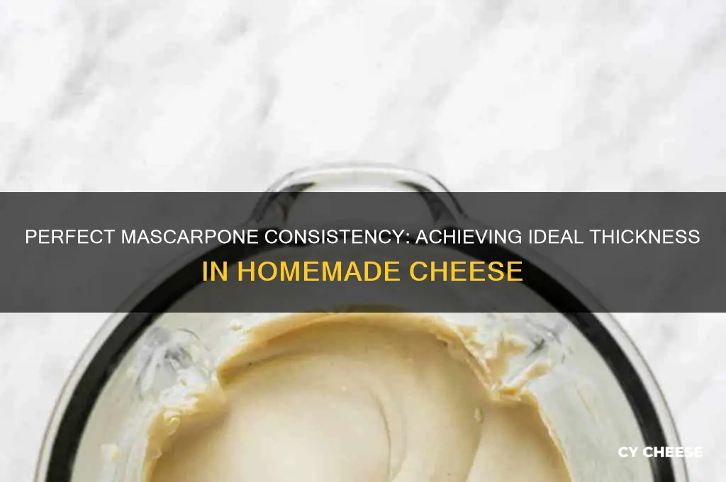 when making mascarpone cheese how thick should it be