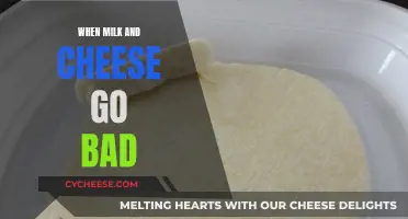 Spoiled Milk and Cheese: What You Need to Know