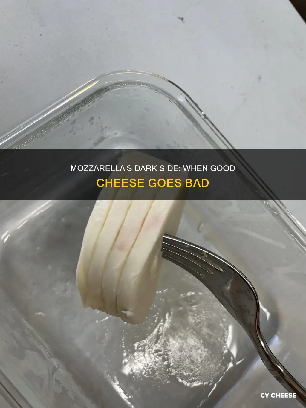 when mozzarella cheese goes bad