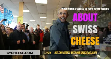 Obama's Swiss Cheese Outburst: A Surprising Encounter