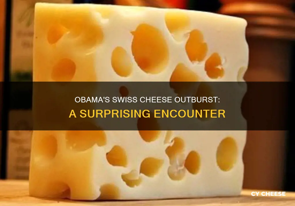 when obama comes in your room yelling about swiss cheese