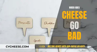 Cheese Storage: When Does it Go Bad?
