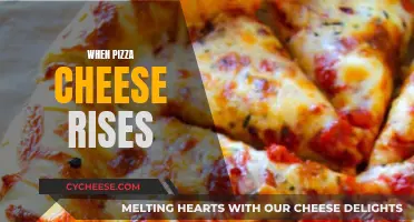 The Science of Pizza Cheese Rising: A Delicious Discovery