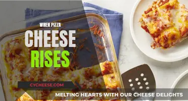 The Magic of Pizza Cheese: When It Rises