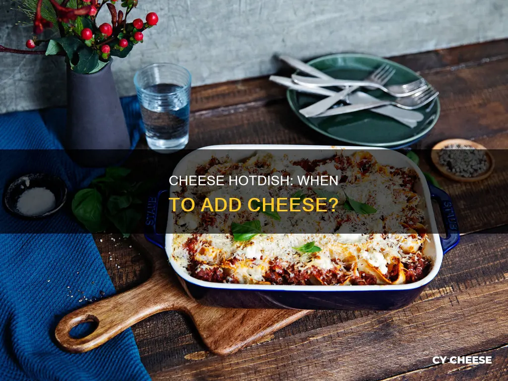 when put cheese on cheesy hotdish