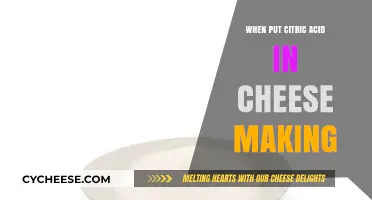 Citric Acid: A Key Ingredient in Cheese Making