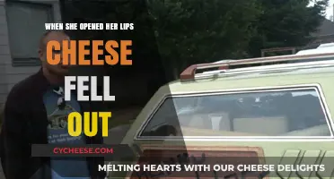 Cheese Surprise: The Bizarre Tale of Her Lip Mystery