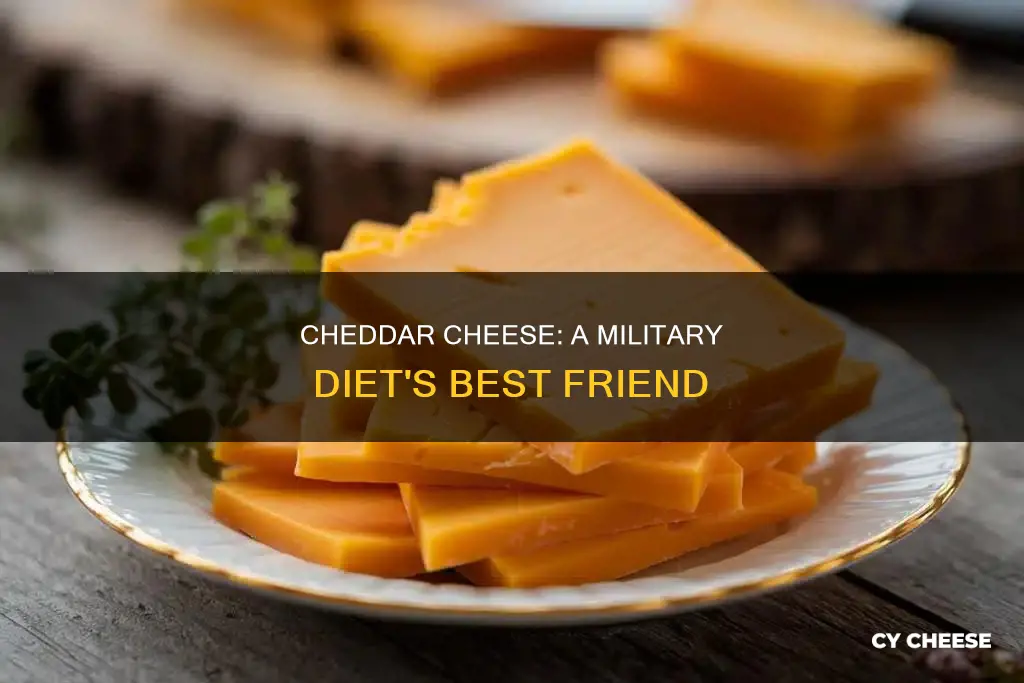 when substitute cheddar cheese military diet