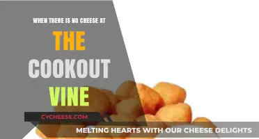 Missing Cheese at the Cookout: The Viral Vine's Hilarious Legacy