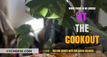 Cheeseless Cookout Crisis: How to Handle the Missing Melty Magic