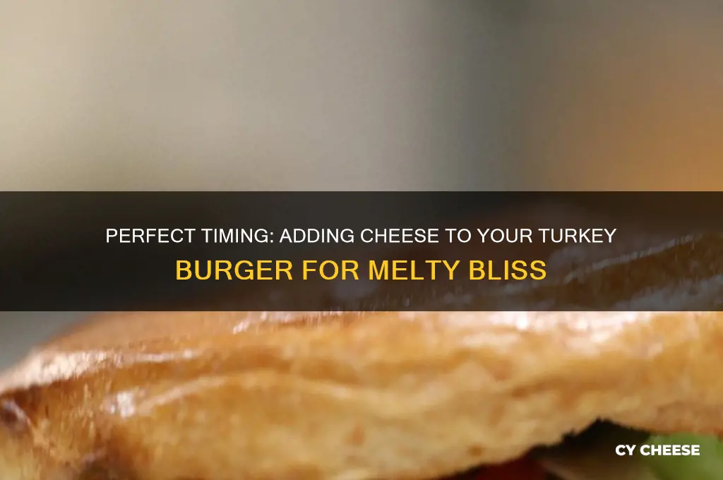 when to add cheese to a turkey burger