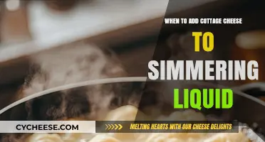 Perfect Timing: Adding Cottage Cheese to Simmering Soups and Sauces