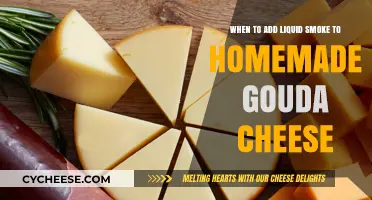 Enhancing Homemade Gouda: Perfect Timing for Adding Liquid Smoke