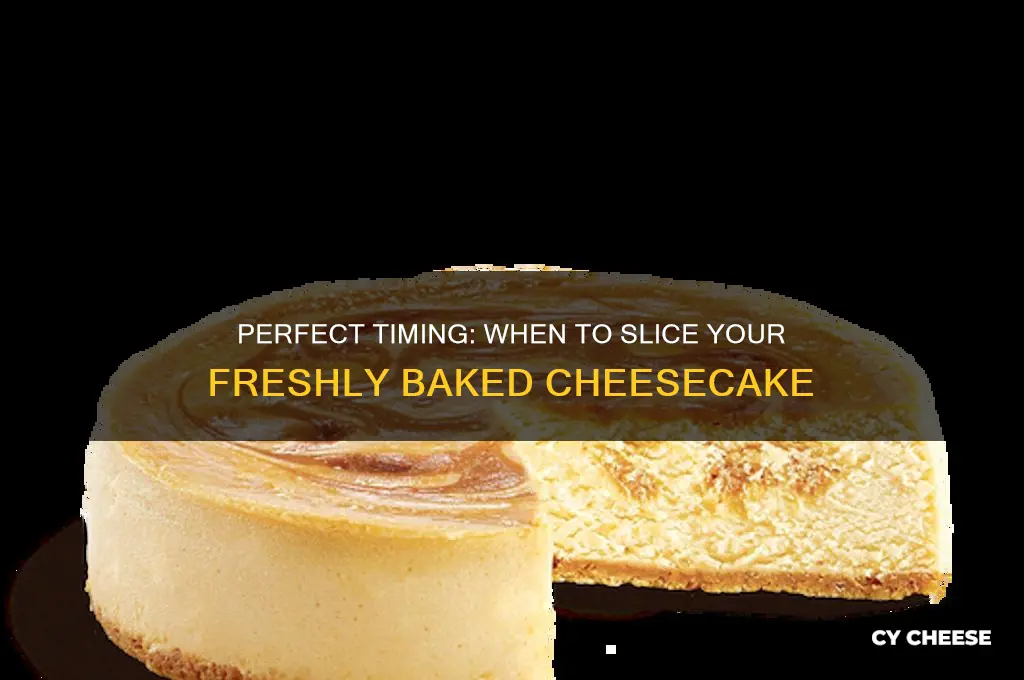 when to cut your cheese cake after baking