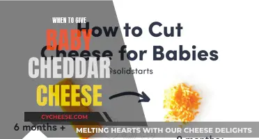 Introducing Cheddar Cheese: When and How to Feed Your Baby