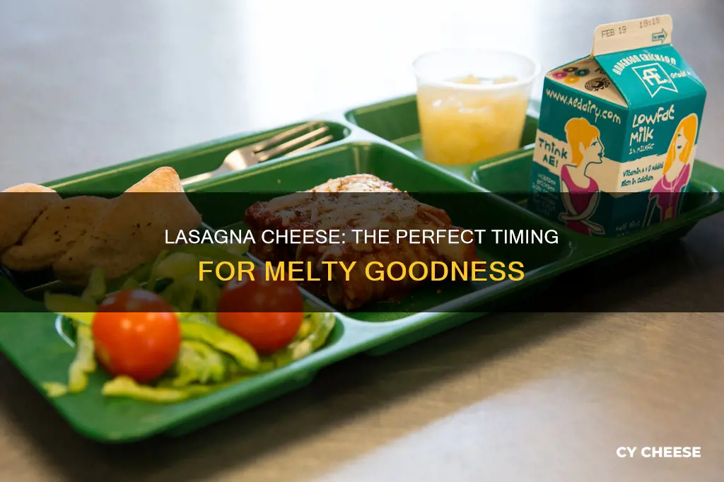 when to put cheese on lasagna