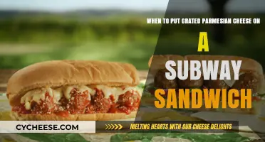The Perfect Subway: Grated Parmesan and Sandwich Magic