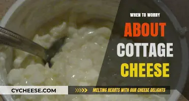 When to Worry About Cottage Cheese: Signs of Spoilage and Safety