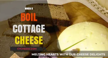 Boiling Cottage Cheese: Surprising Results and Culinary Tips Revealed