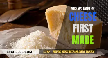Parmesan Cheese: A Historical Overview of Its Origins