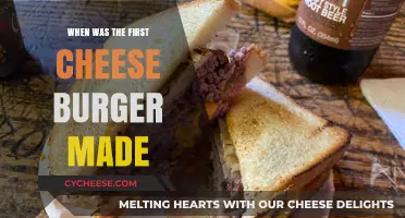 The Birth of the Cheeseburger: A Tasty Journey