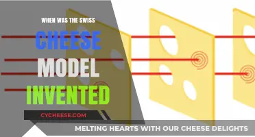 Evolution of the Swiss Cheese Model: When and Why?