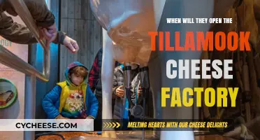 Tillamook Cheese Factory Reopening: What We Know So Far