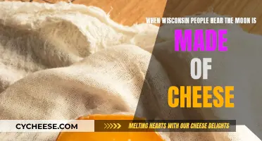 Wisconsinites React to Moon Cheese Theory