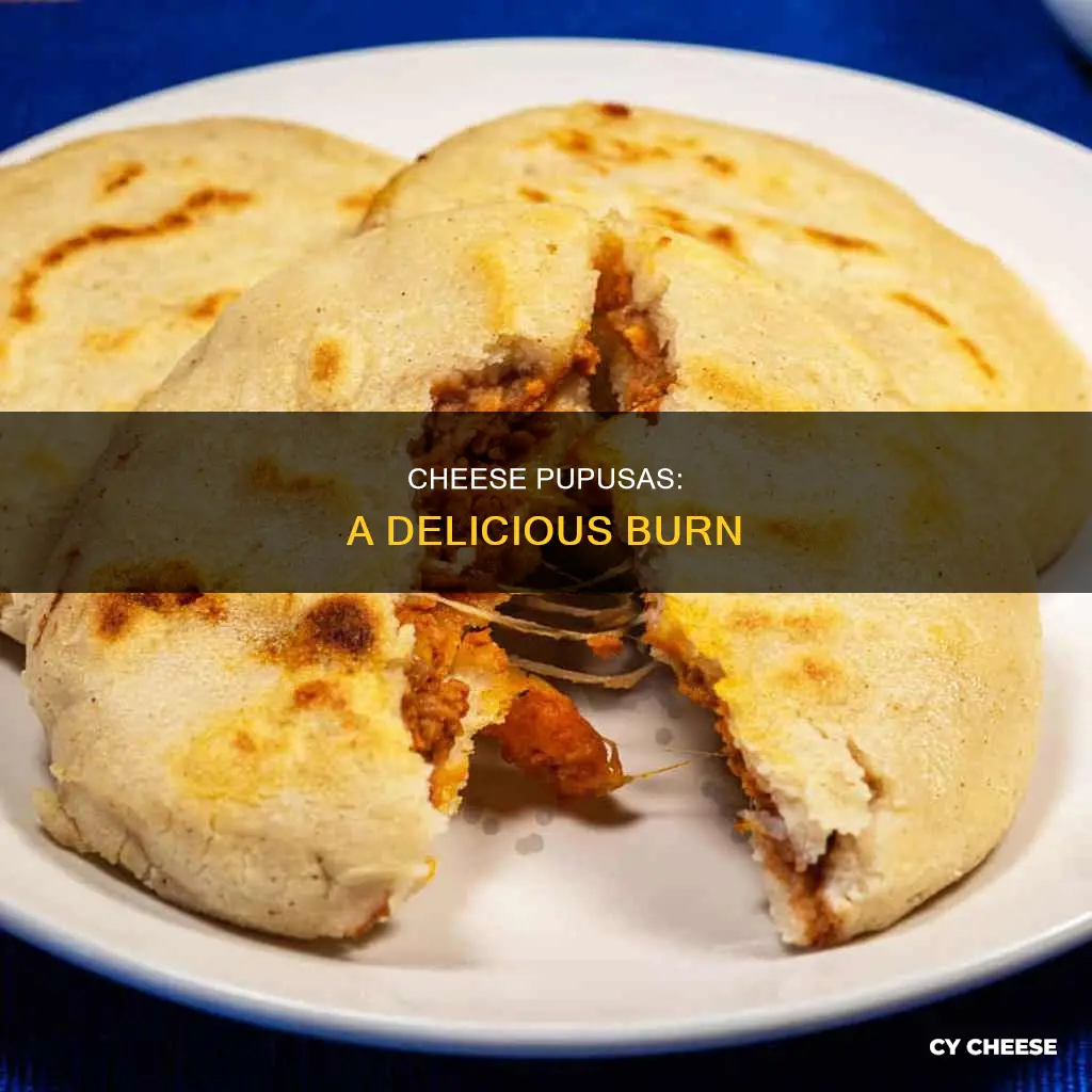 when you get burnt by cheese pupusas