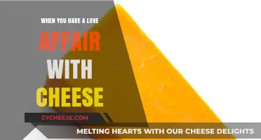 Cheese, My Eternal Love: A Passionate Affair with Every Bite