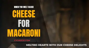 Macaroni Magic: Melting Block Cheese Perfection