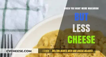 Macaroni Madness: More Pasta, Less Cheese, Please!
