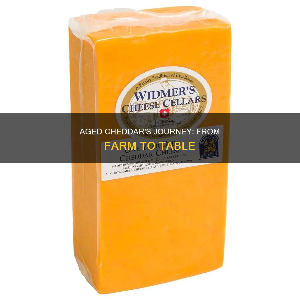 where aged cheddar cheese