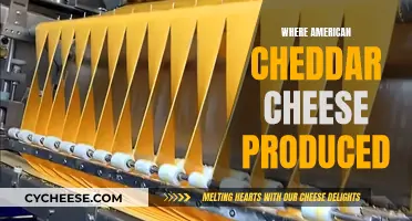 Where American Cheddar Cheese is Made: A Regional Guide