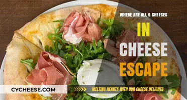 Uncover All 9 Hidden Cheeses in Cheese Escape: A Complete Guide
