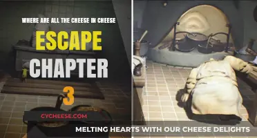 Uncovering Hidden Cheese Locations in Cheese Escape Chapter 3