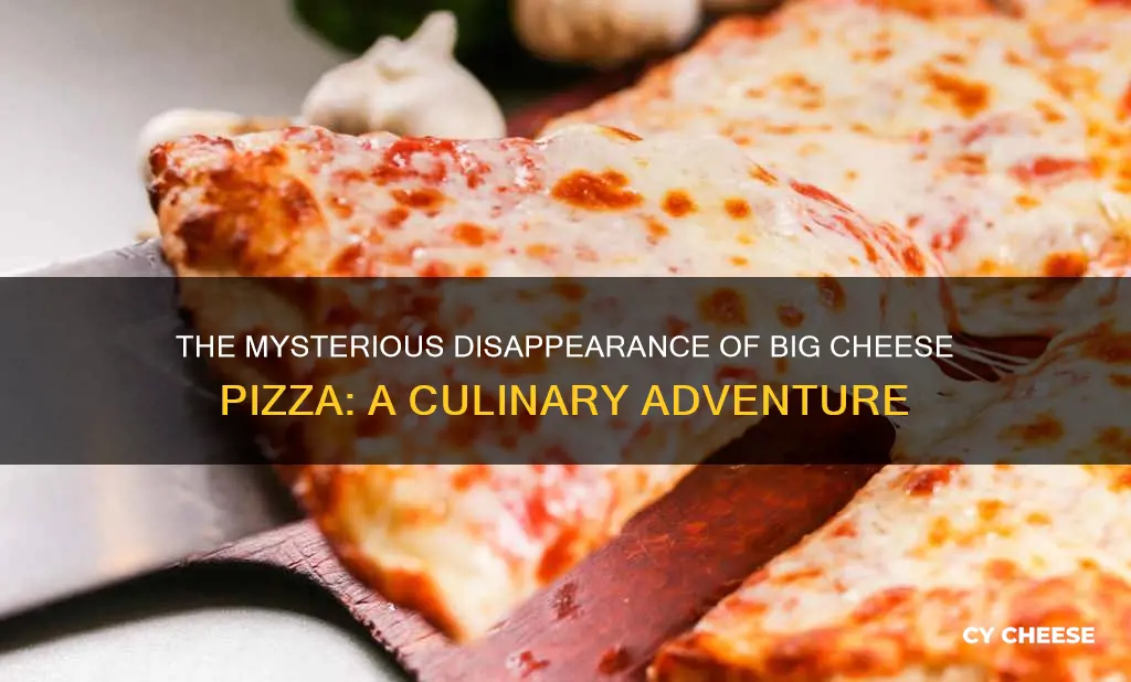 where are big cheese pizza