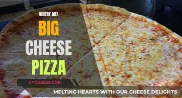 Big Cheese Pizza: Where to Find the Best Slices