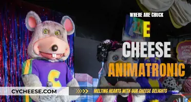 The Animatronic Mystery: Chuck E. Cheese's Missing Mascots