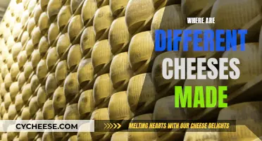 Cheese Around the World: A Cultural Journey