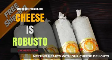Exploring the Origins of Robust Cheese: A Flavorful Journey