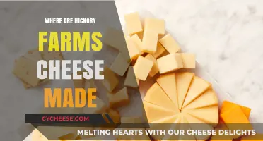 Hickory Farms Cheese: Unveiling the Origin of Deliciousness