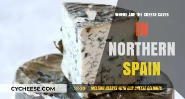 Exploring Northern Spain's Hidden Cheese Caves: A Tasty Adventure