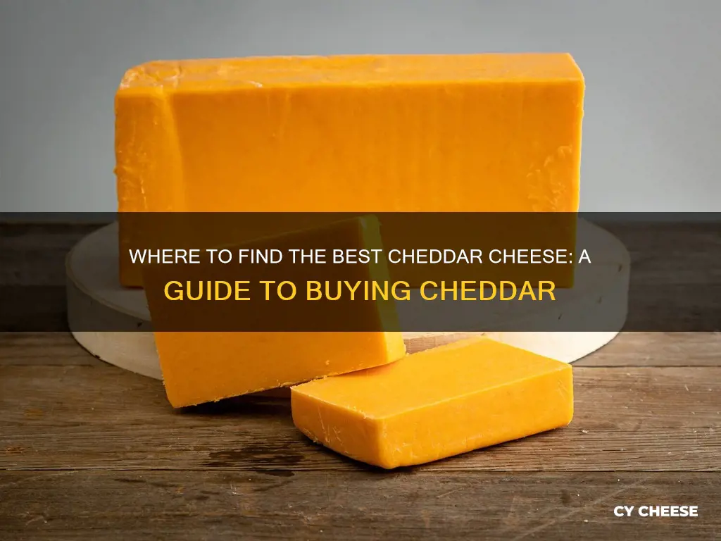 where buy chedder cheese