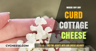 Where to Buy Dry Curd Cottage Cheese: Top Stores and Tips