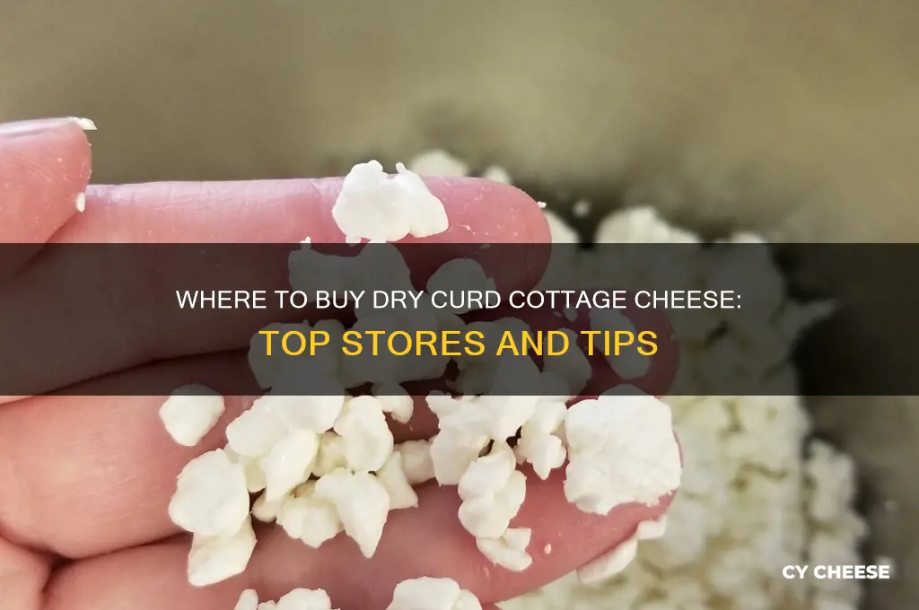 where buy dry curd cottage cheese